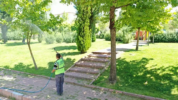 İlaçlama Çalışmaları Devam Ediyor
