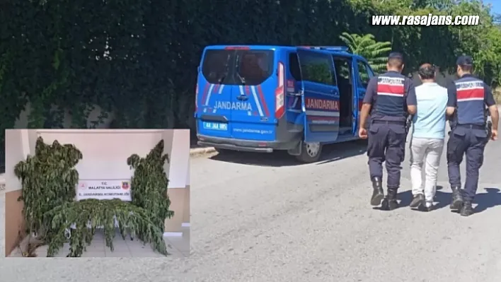Jandarma'dan Terör Örgütlerine Yönelik Operasyon