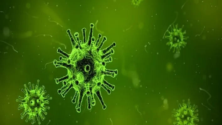 Koronavirüs salgınında vaka sayısı 18 bin 102'ye ulaştı