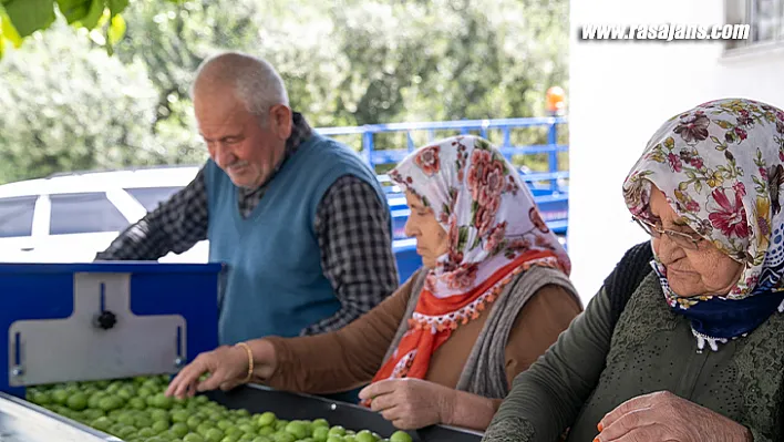 Makine Sayesinde Hem Girdi Maliyetleri Hem İş Gücü Azalıyor