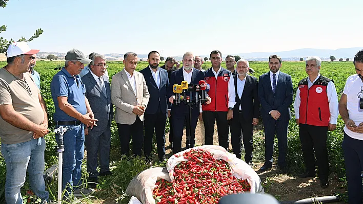 Maraş Biberi Hasadı Başladı: Çiftçilerden Bereket Müjdesi!