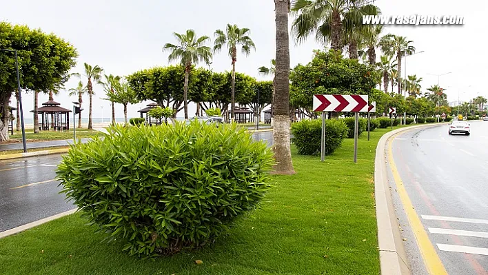Mersin Büyükşehir'den Adnan Menderes'te Refüje Rulo Çim