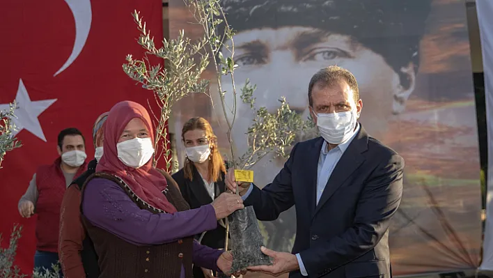 Mersin Büyükşehir'den Üreticilere Binlerce Zeytin Fidanı Desteği