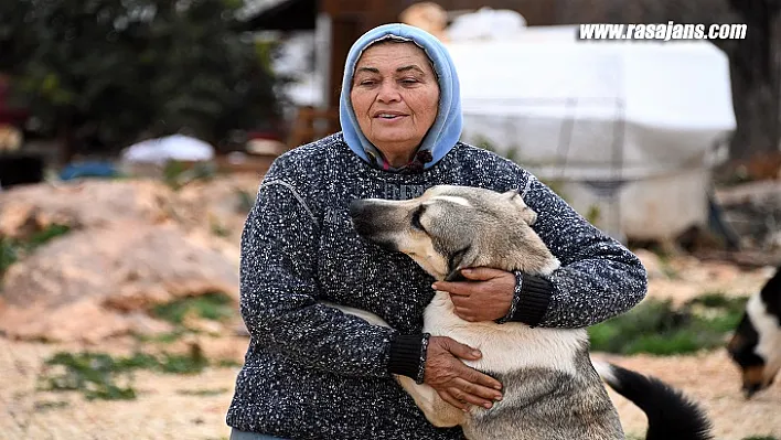 Mersin Büyükşehir'le Gönüllü Hayvanseverler El Ele