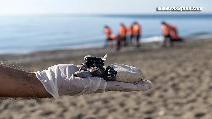 Mersin'de 2021 Çevrenin Yılı Oldu