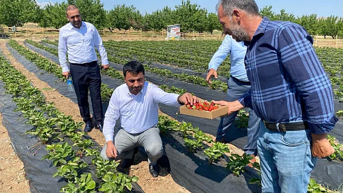 MHP Malatya İl Başkanı Mesut Samanlı  Aynı Anda Pek Çok Farklı Etkinliğe Katılıyor