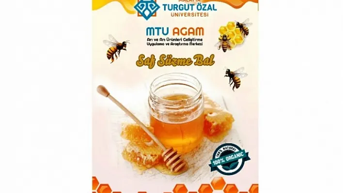 MTÜ'den Saf Bal Üretimi