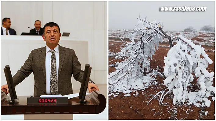 Mv. Ağbaba:  Darende'de Kayısı Ağaçları Buzlanma Kurbanı
