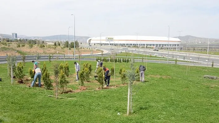 Parkları ve Refüjleri Yenileniyor