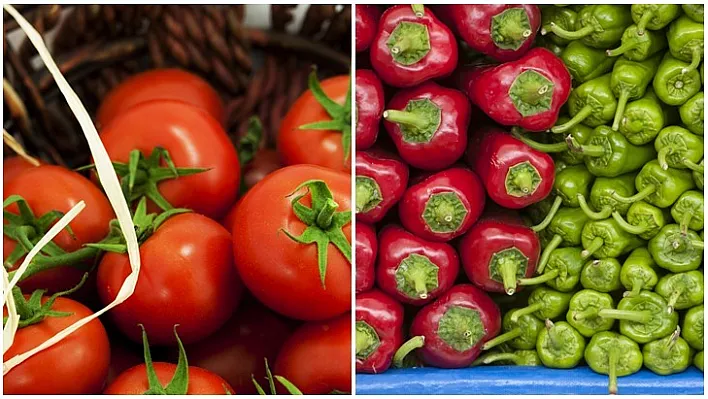 Rusya'nın Türk domatesi ve biberine güveni tam