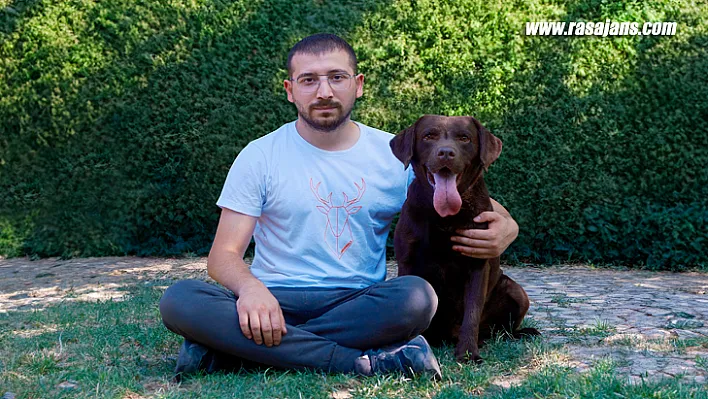 Saldırgan Sokak Köpekleri Eğitilmeli