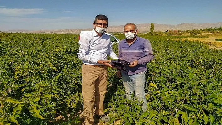 Tarladan Sofralara Doğal ve Ucuz Sebze Esenlik'te