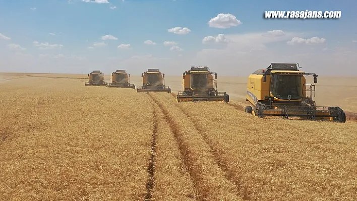 TİGEM İşletmelerinden Hasat Rekoru