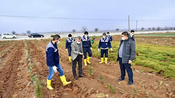 Toprak Hayattır, Berekettir, Geleceğimizdir