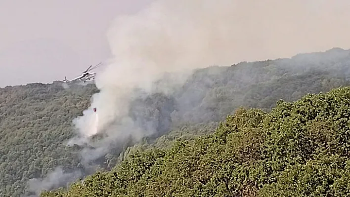 Tunceli'de 2 helikopter ve 1 uçakla yangına müdahale sürüyor