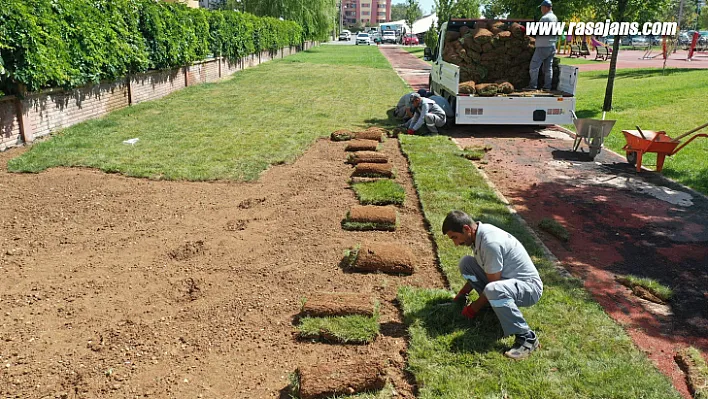 Üç Yılda 80 Bin Metrekare Rulo Çim Ürettik