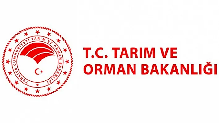 Üreticilerimizden Patates Ve Kuru Soğan Alımına Başlanmıştır