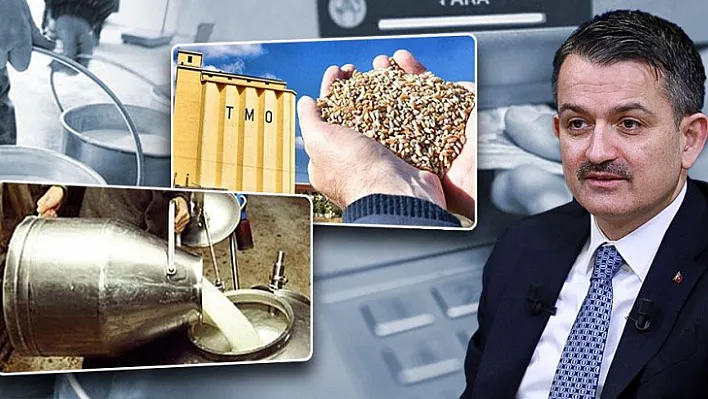 607 Milyon Liralık Çiğ Süt Desteği Ödemesi Bugün Yapılacak