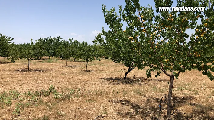 Yaka Mahallesi ( Köyü ) Çiftçilerinden Sulama Suyu Tepkisi