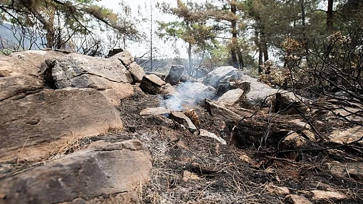 Yangını kesmeseydik Bodrum'a kadar giderdi