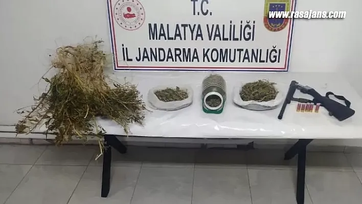 Yasadışı Kenevir Ekimine Jandarma'dan Operasyon