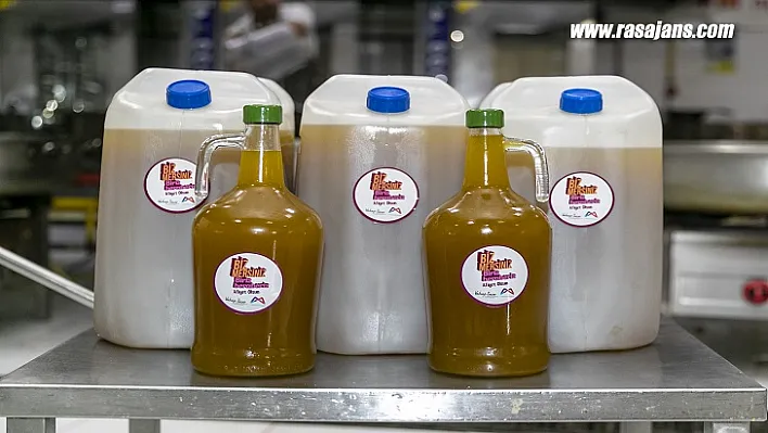 Zeytin Ağaçları Meyvesini Verdi, Büyükşehir Değerlendirdi