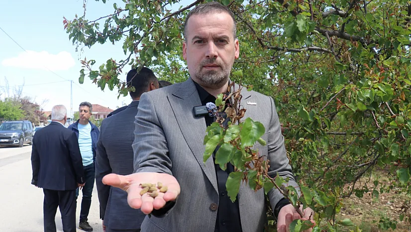 Don Felaketi 500 Milyon Doları Silip Süpürdü!