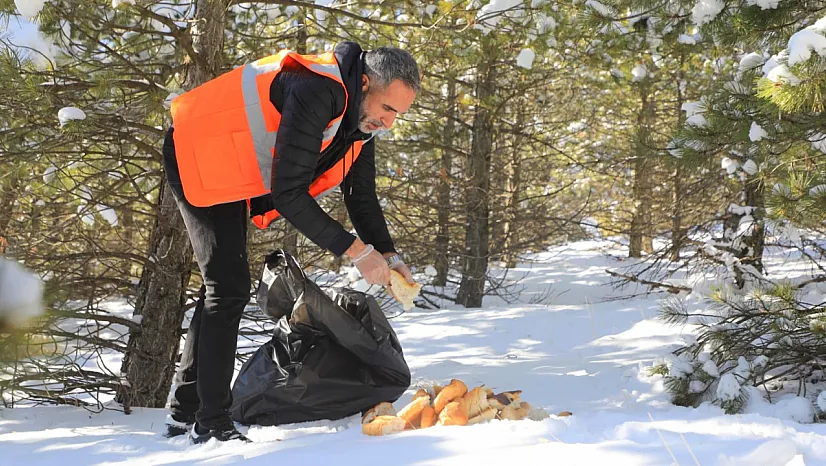 Elazığ'da doğaya yem bırakıldı
