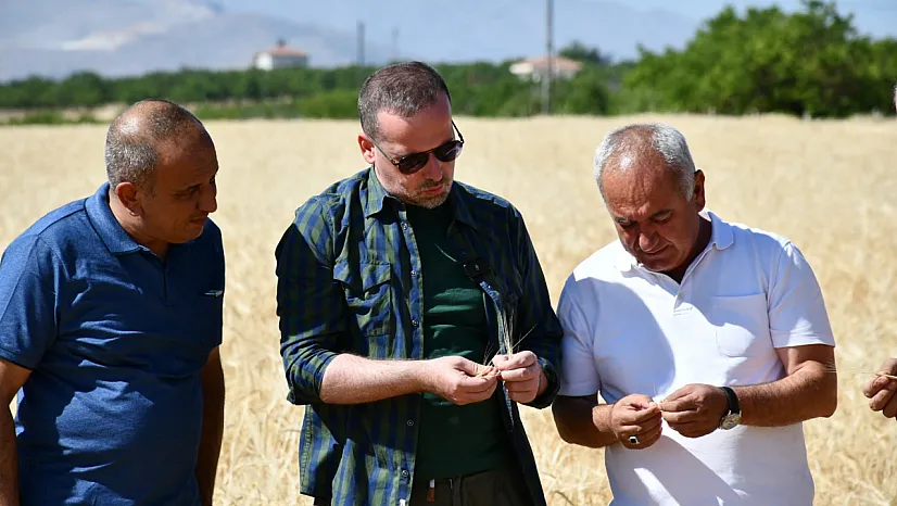 MAGİNDER'den TMO ve TARSİM'e Destek Çağrısı