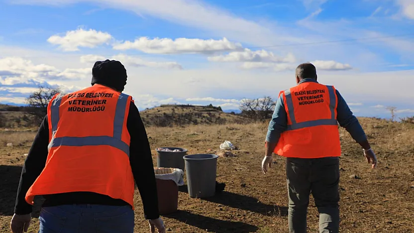 Elazığ Belediyesi Doğaya Yem Bıraktı
