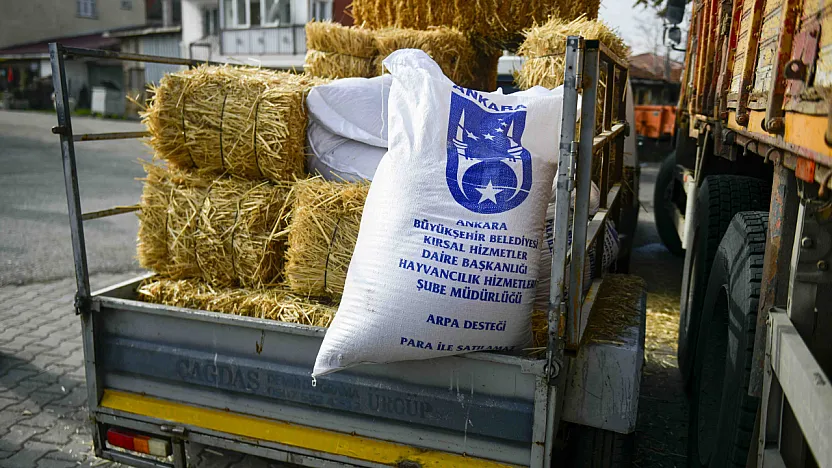Manda Yetiştiricilerine Ücretsiz Kaba Yem Desteği