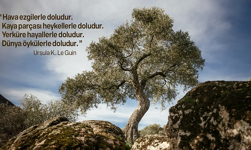 Doğanın 2025'i Nasıl Geçti?